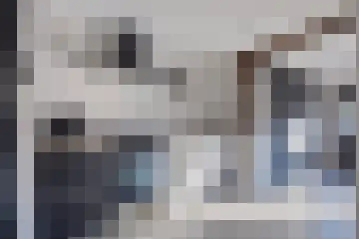 Lijsterbesstraat 17 Opheusden thumbnail 4