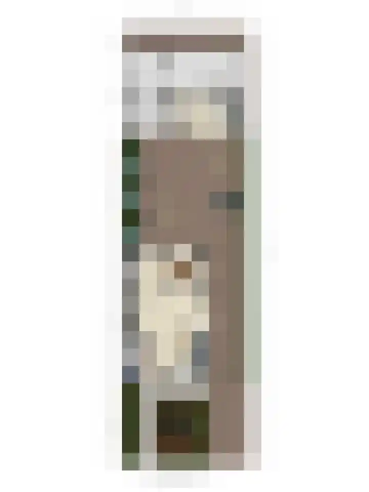 Lijsterbesstraat 17 Opheusden thumbnail 43