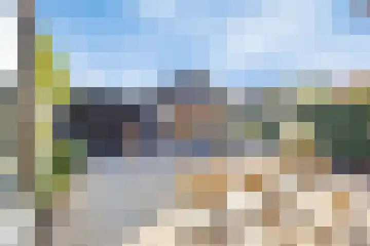 Lijsterbesstraat 17 Opheusden thumbnail 5