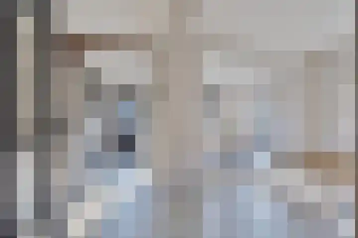 Lijsterbesstraat 17 Opheusden thumbnail 9