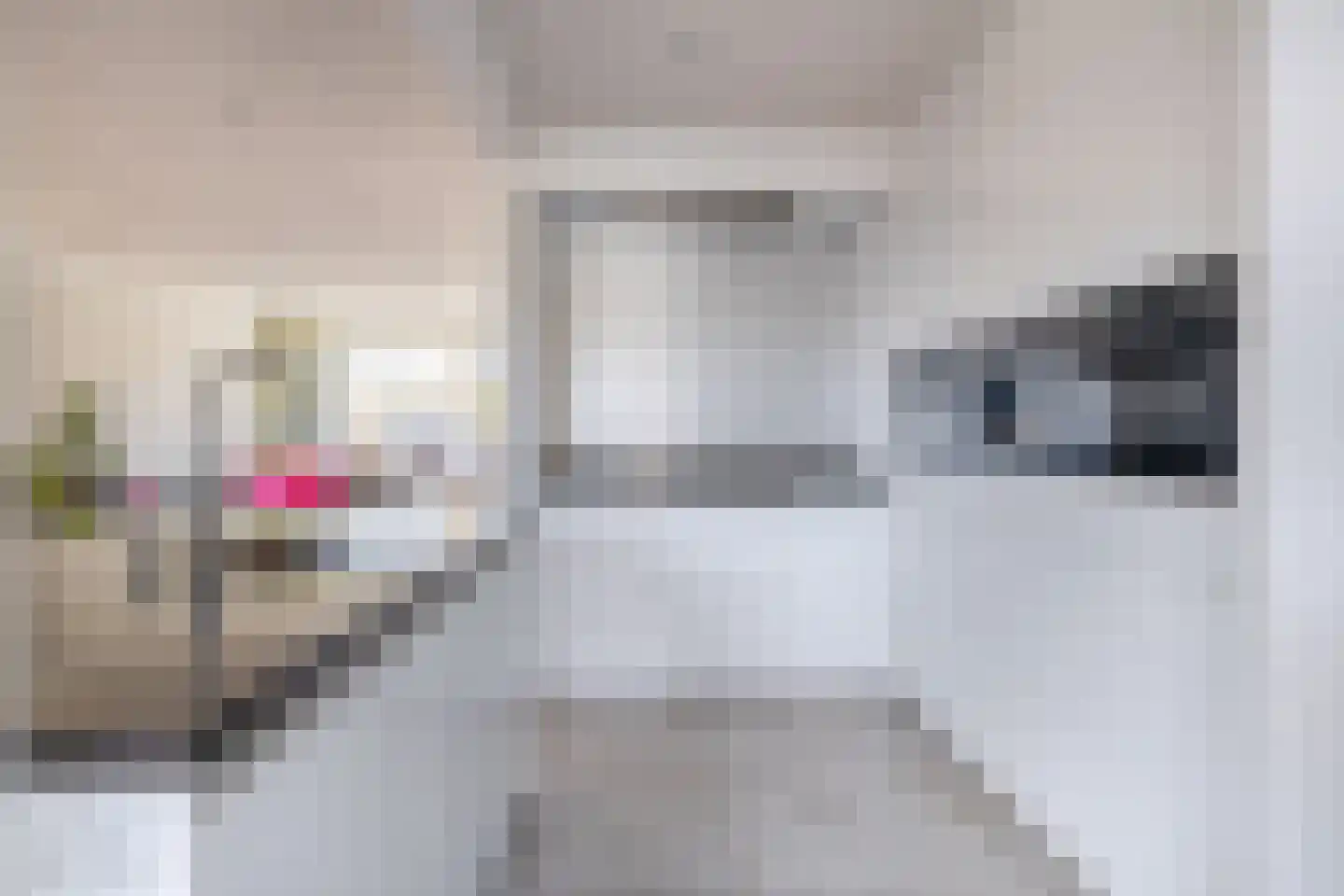 Lijsterbesstraat 17 's-Gravenzande thumbnail 13