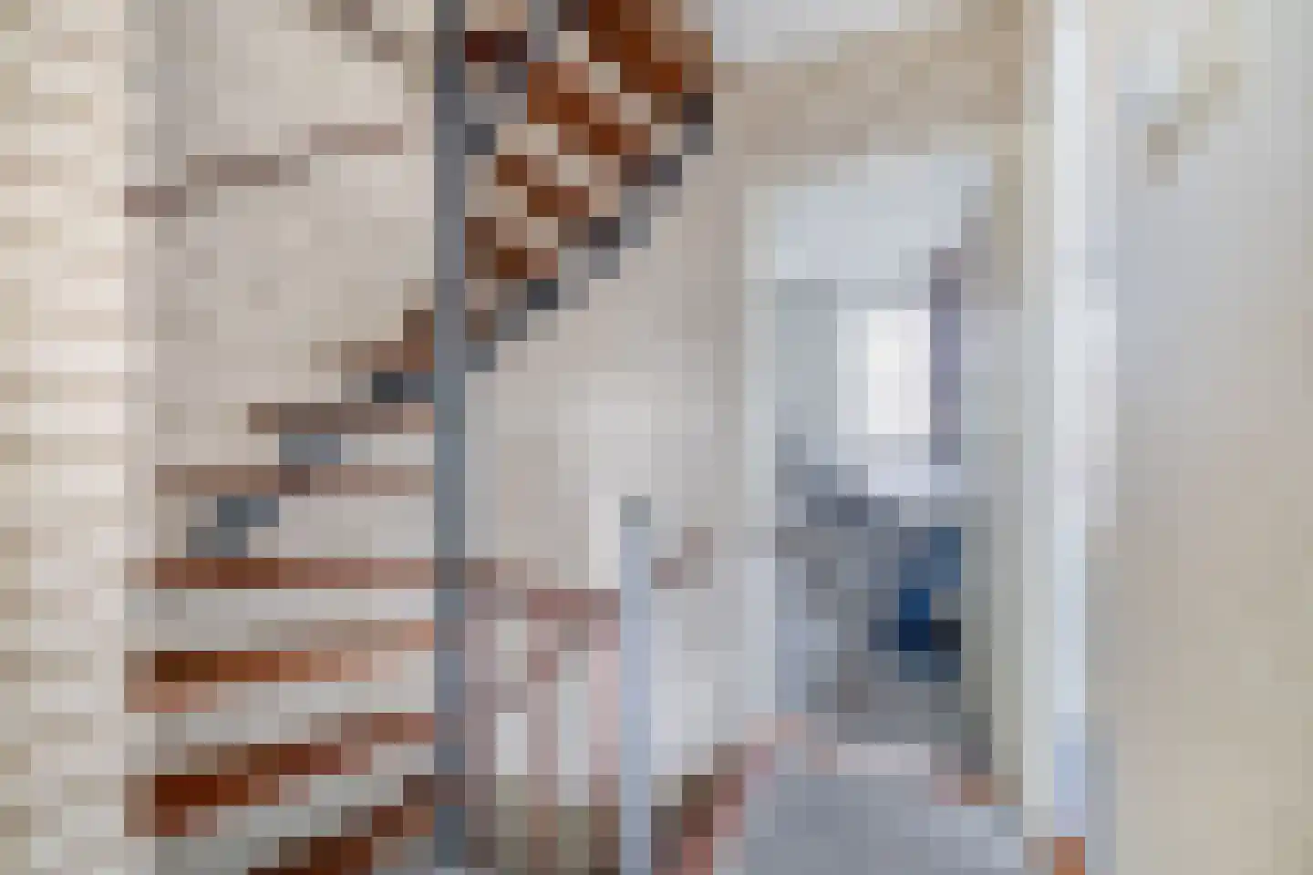 Lijsterbesstraat 17 's-Gravenzande thumbnail 18
