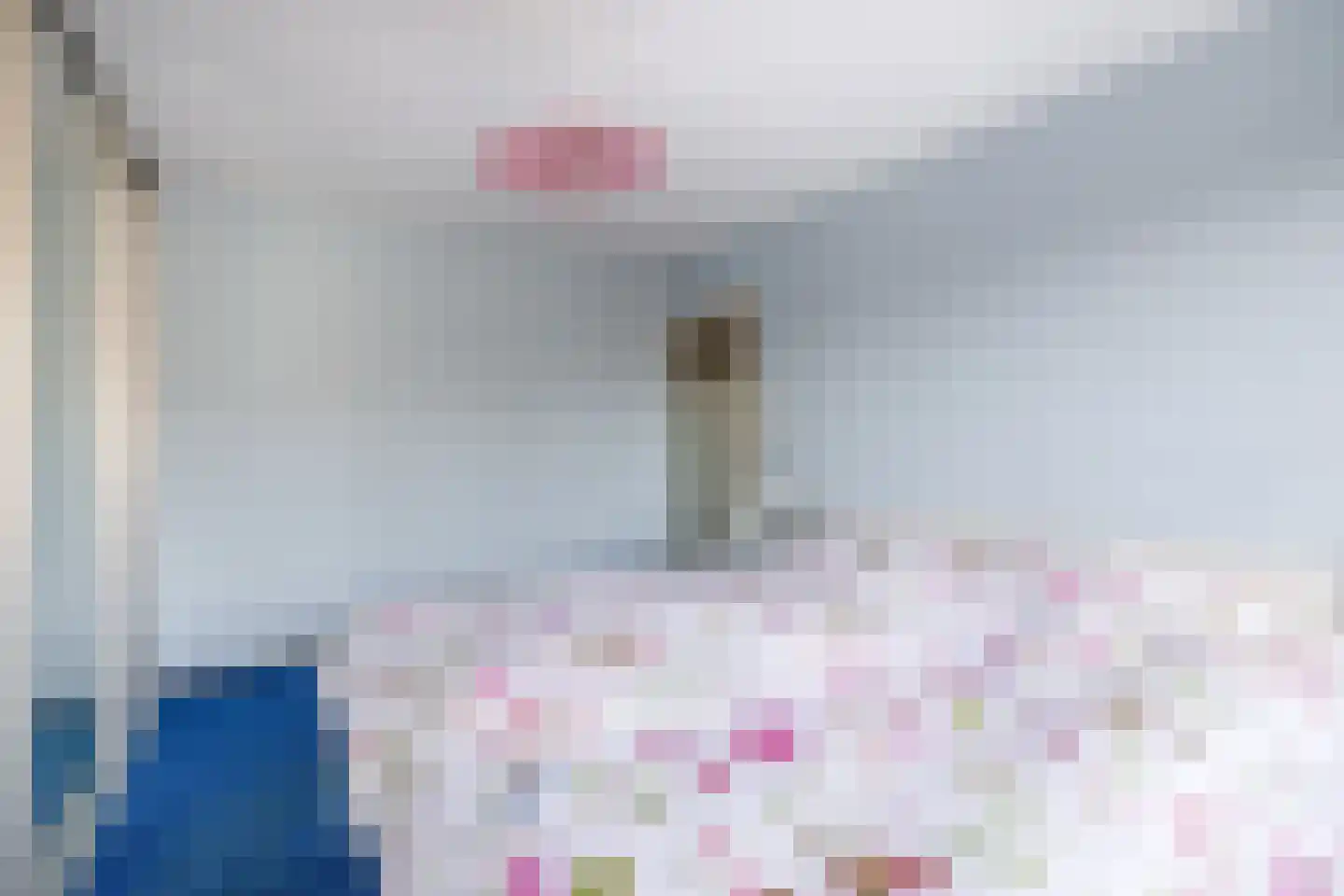 Lijsterbesstraat 17 's-Gravenzande thumbnail 20