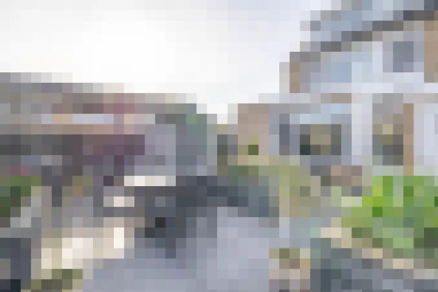 Lijsterbesstraat 17 's-Gravenzande thumbnail 39