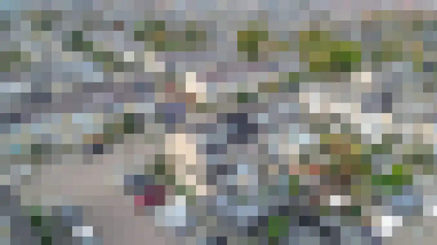 Lijsterbesstraat 17 's-Gravenzande thumbnail 43
