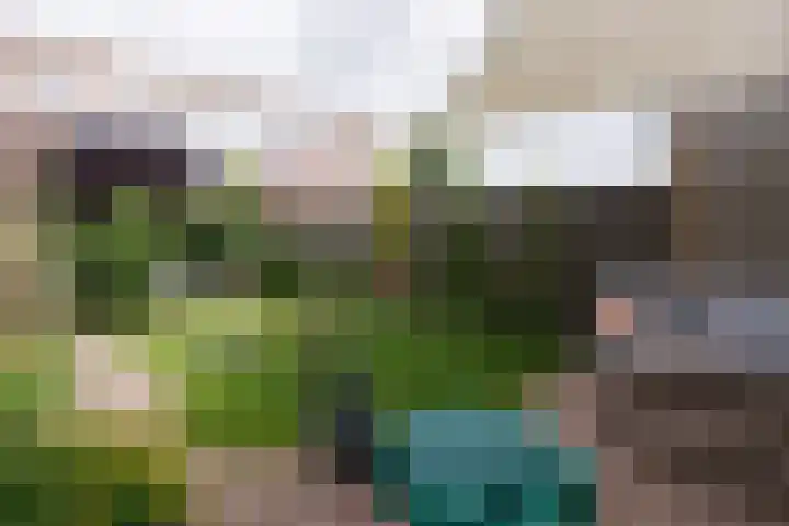 Lijsterbesstraat 18 Beek thumbnail 22
