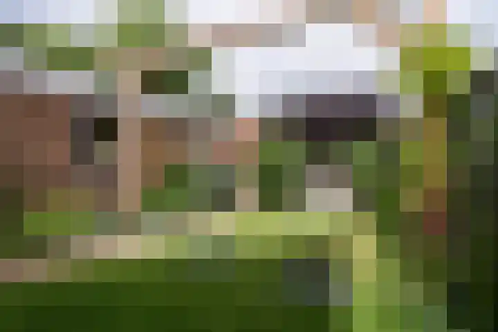 Lijsterbesstraat 18 Beek thumbnail 23