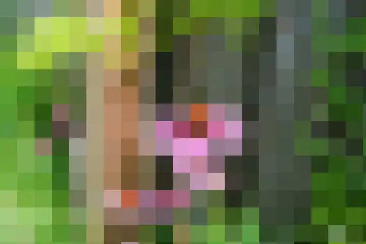 Lijsterbesstraat 18 Beek thumbnail 24