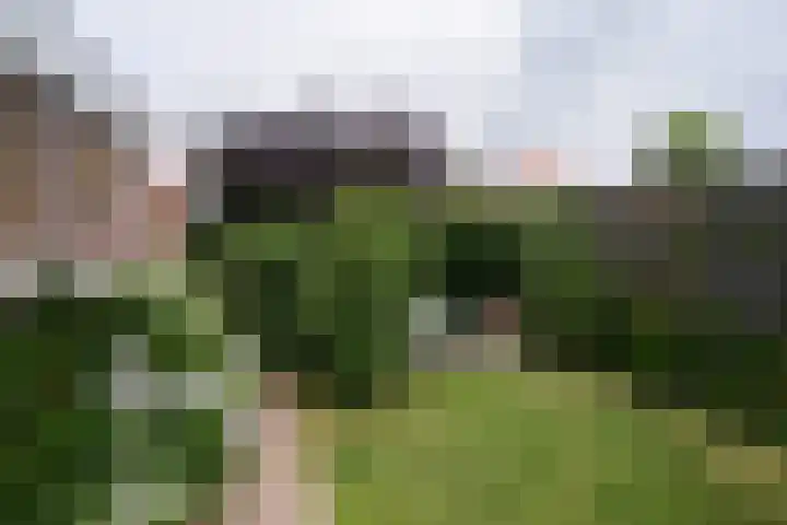 Lijsterbesstraat 18 Beek thumbnail 25
