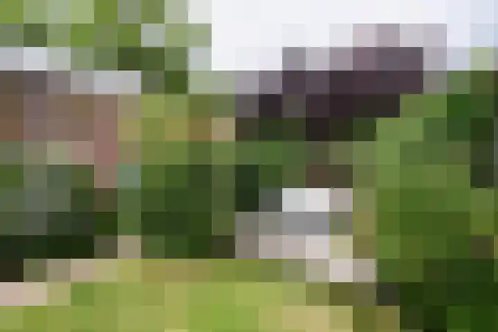 Lijsterbesstraat 18 Beek thumbnail 26
