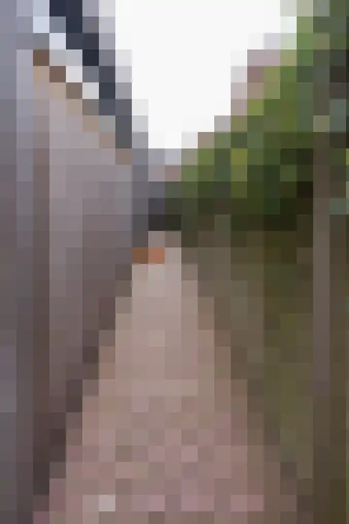 Lijsterbesstraat 18 Beek thumbnail 33