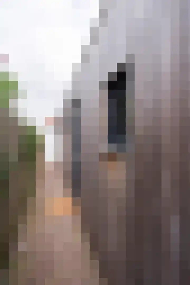 Lijsterbesstraat 18 Beek thumbnail 34