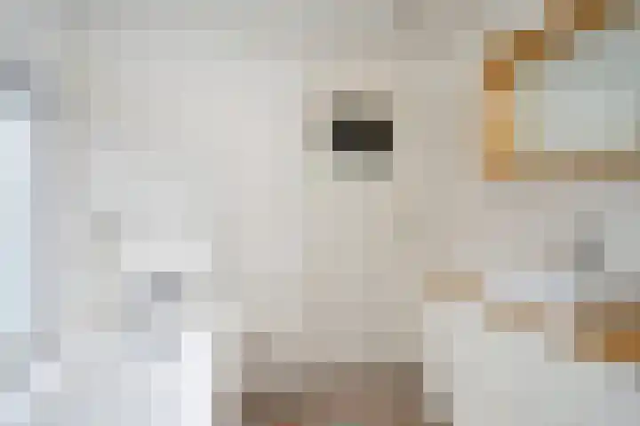 Lijsterbesstraat 18 Beek thumbnail 41