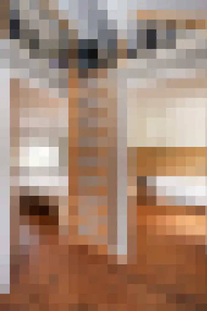 Lijsterbesstraat 18 Beek thumbnail 48