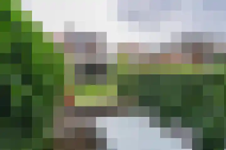 Lijsterbesstraat 18 Beek thumbnail 61