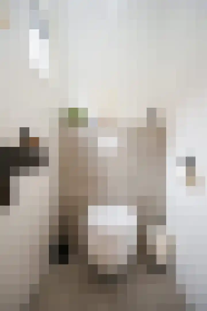 Lijsterbesstraat 18 Beek thumbnail 7