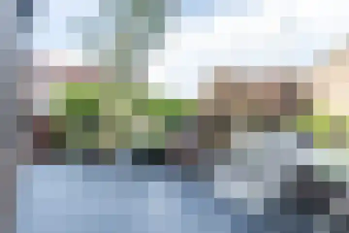 Lijsterbesstraat 18 Brunssum thumbnail 25