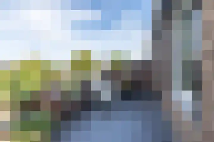 Lijsterbesstraat 18 Brunssum thumbnail 27