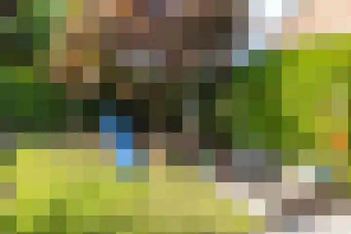 Lijsterbesstraat 18 Brunssum thumbnail 28