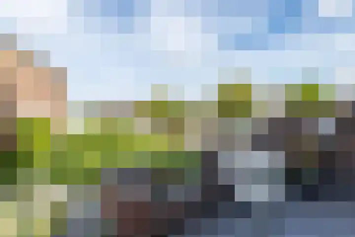 Lijsterbesstraat 18 Brunssum thumbnail 29