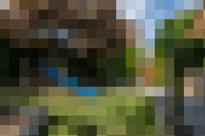 Lijsterbesstraat 18 Brunssum thumbnail 31