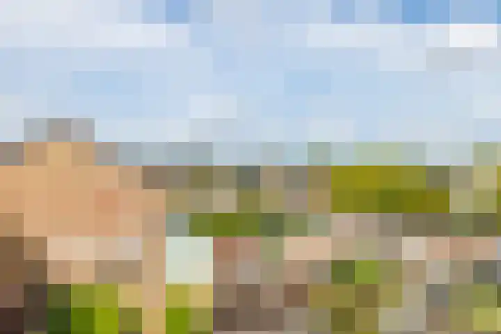 Lijsterbesstraat 18 Brunssum thumbnail 37