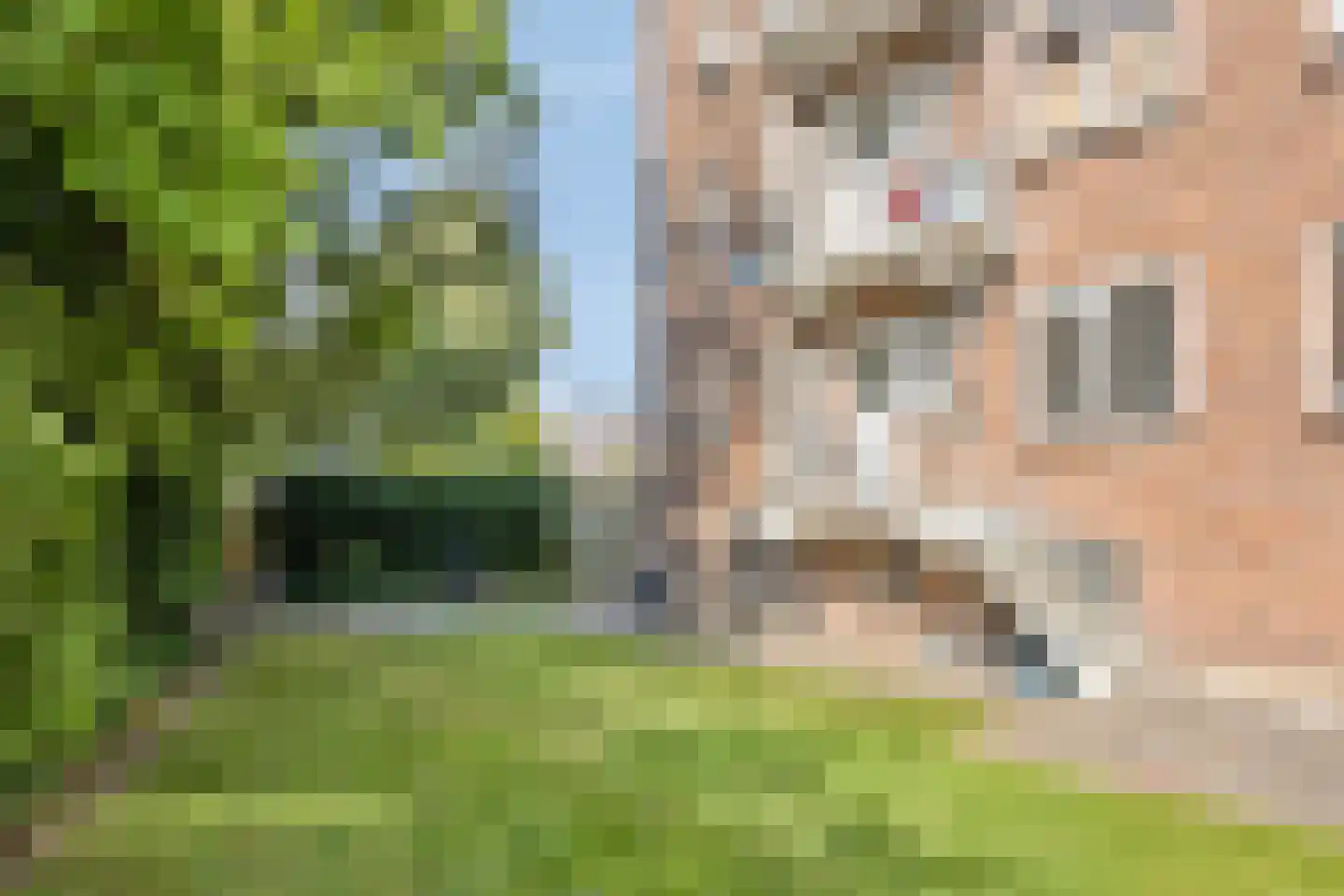 Lijsterbesstraat 18 Leeuwarden thumbnail 18