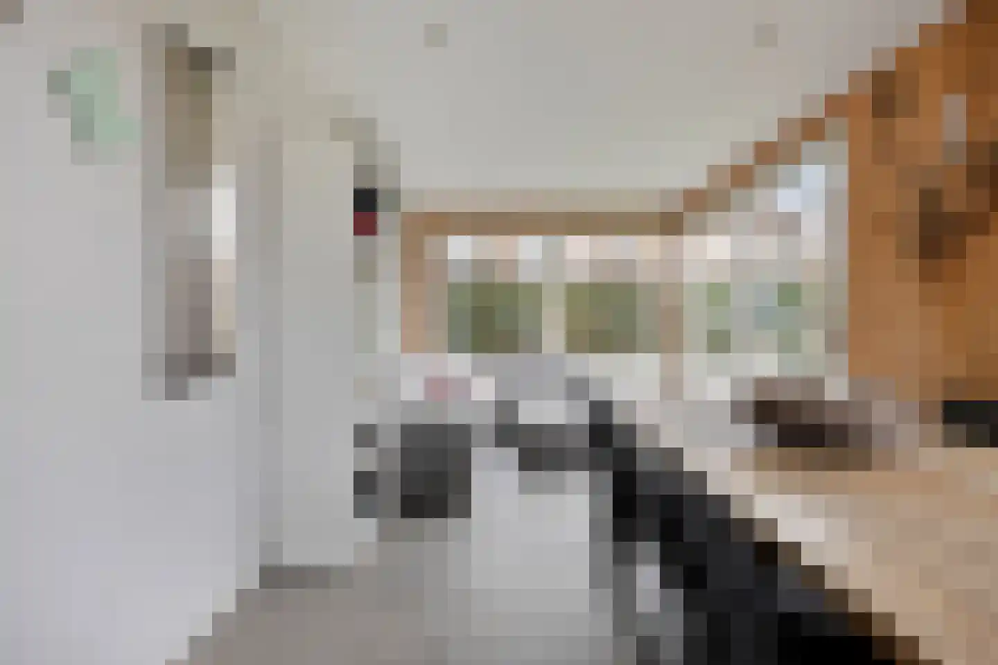 Lijsterbesstraat 18 Opheusden thumbnail 18
