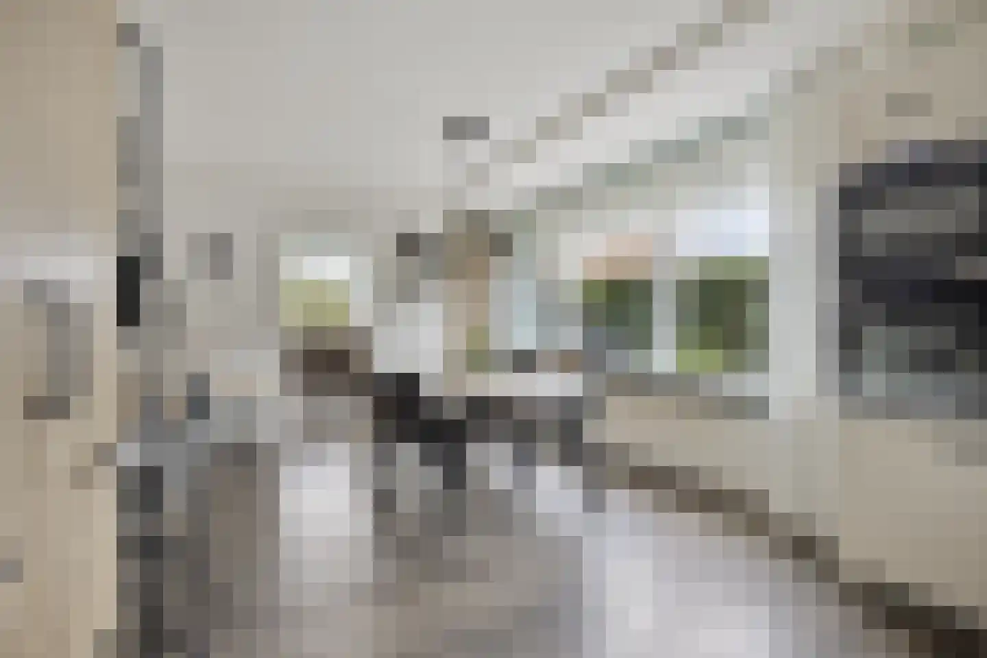 Lijsterbesstraat 18 Opheusden thumbnail 19