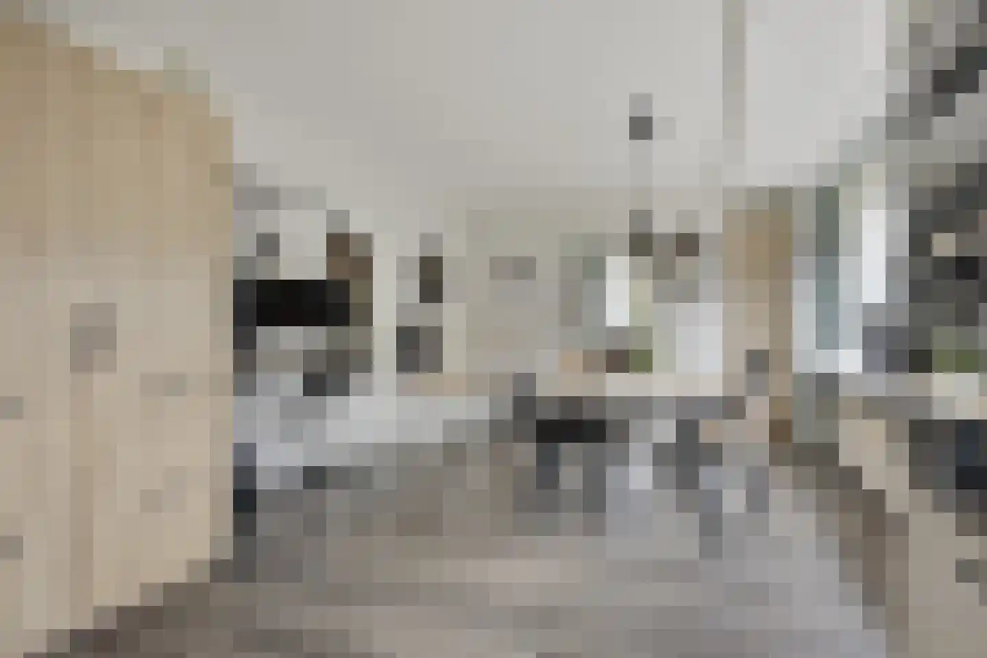 Lijsterbesstraat 18 Opheusden thumbnail 21