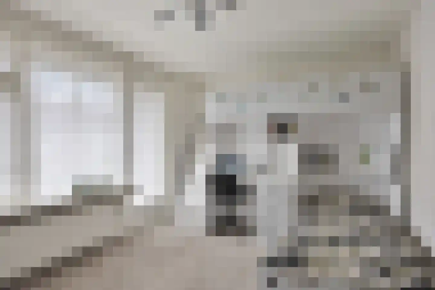 Lijsterbesstraat 18 Opheusden thumbnail 27