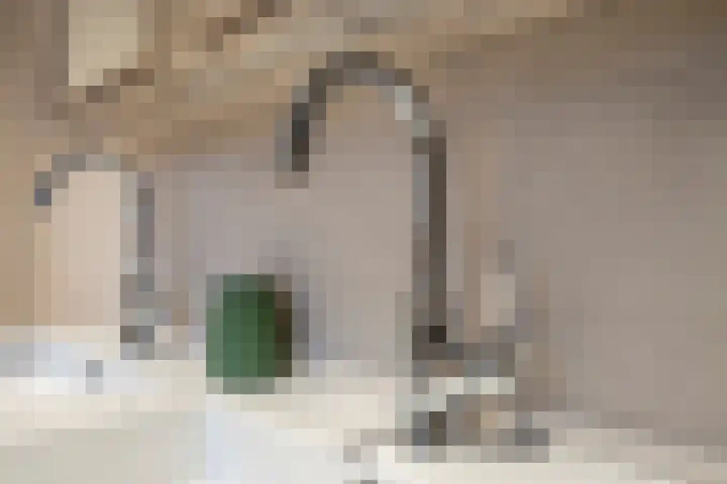 Lijsterbesstraat 18 Opheusden thumbnail 38