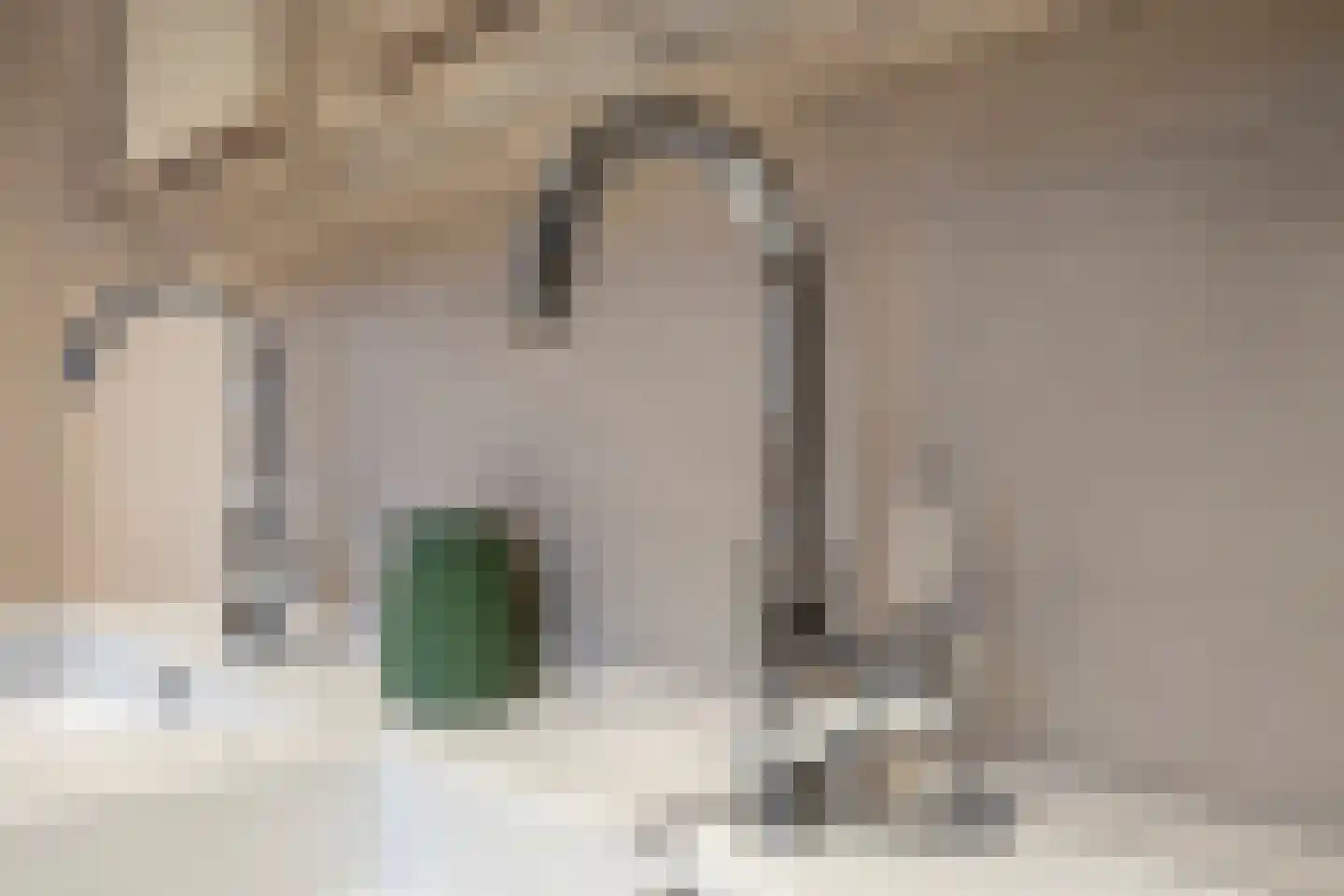 Lijsterbesstraat 18 Opheusden thumbnail 39