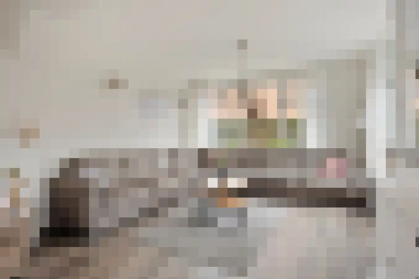 Lijsterbesstraat 18 Opheusden thumbnail 4