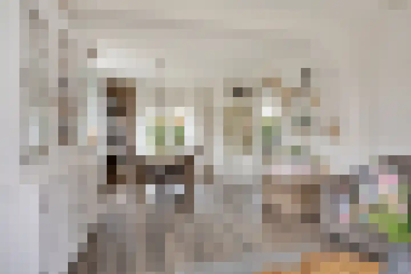 Lijsterbesstraat 18 Opheusden thumbnail 4