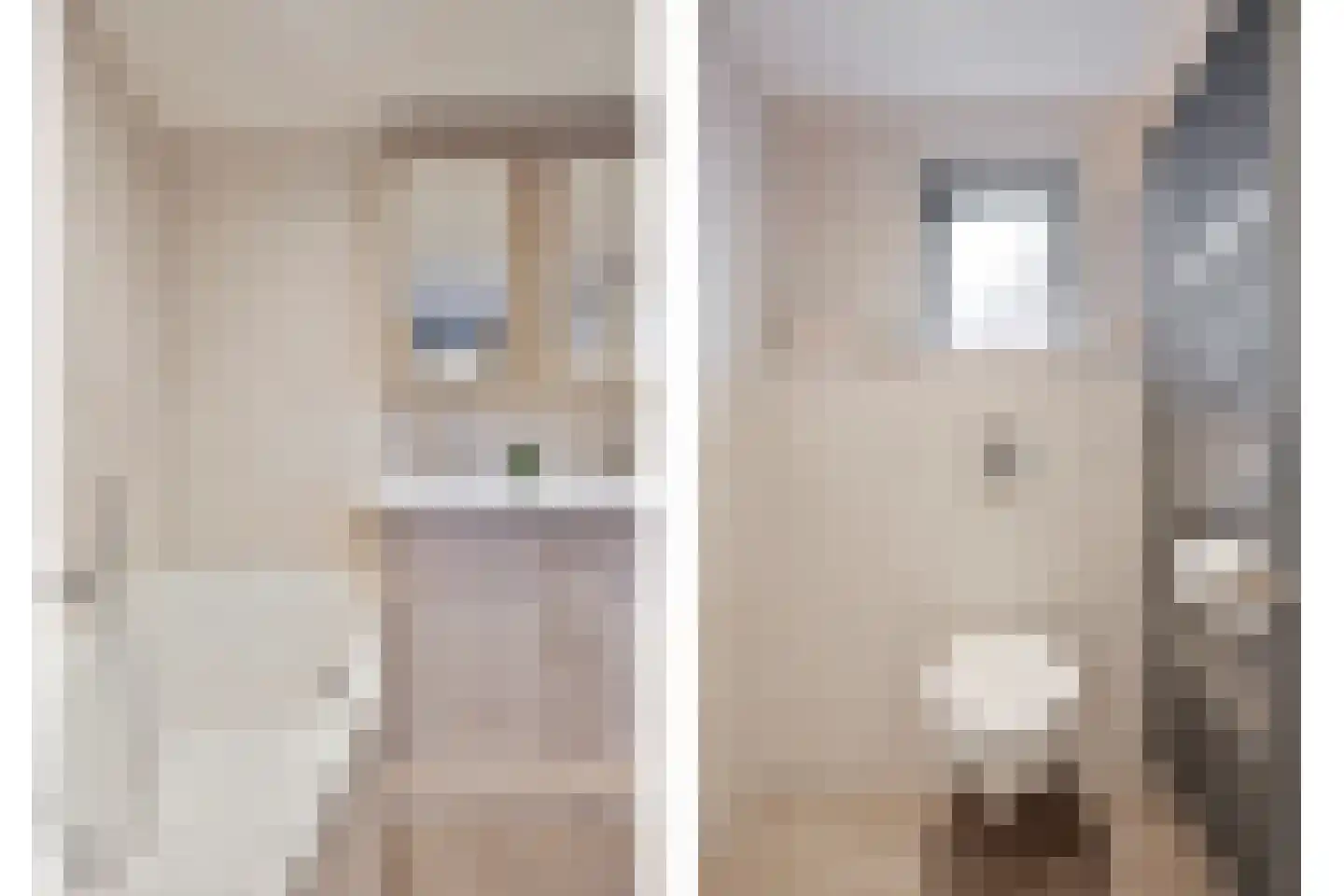 Lijsterbesstraat 18 Opheusden thumbnail 41