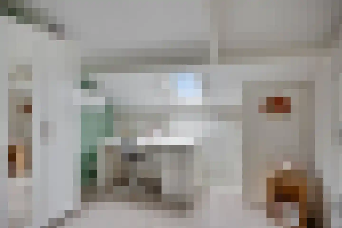 Lijsterbesstraat 18 Opheusden thumbnail 44