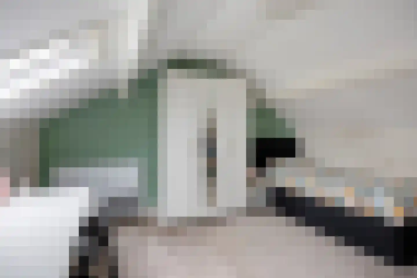 Lijsterbesstraat 18 Opheusden thumbnail 49
