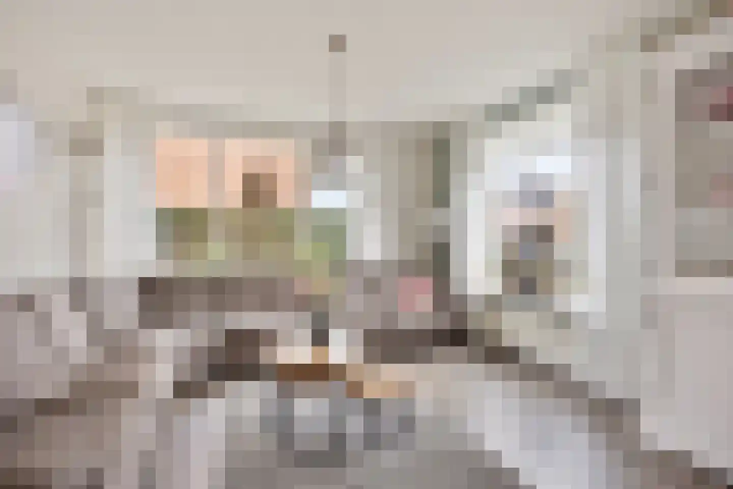 Lijsterbesstraat 18 Opheusden thumbnail 5