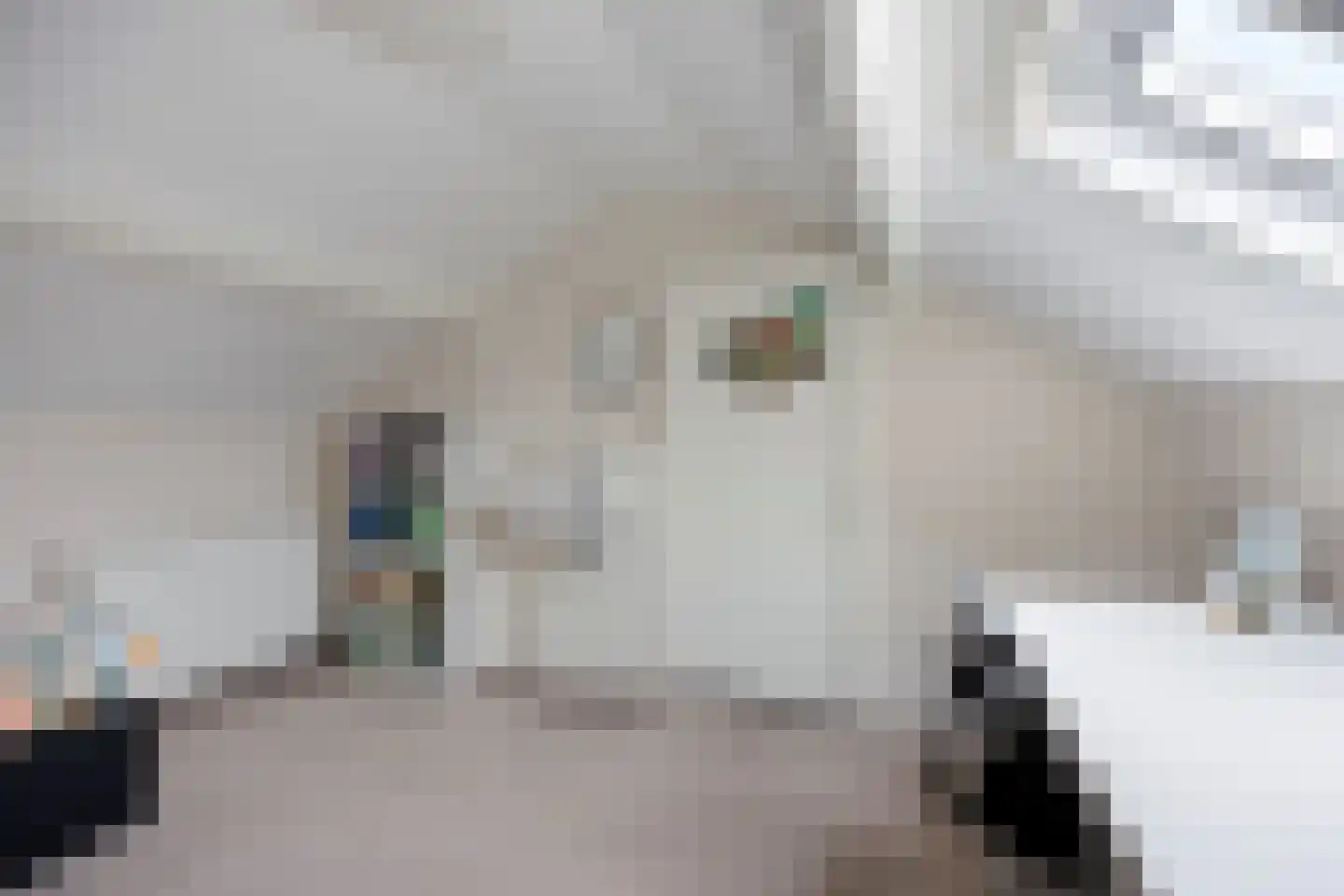 Lijsterbesstraat 18 Opheusden thumbnail 50