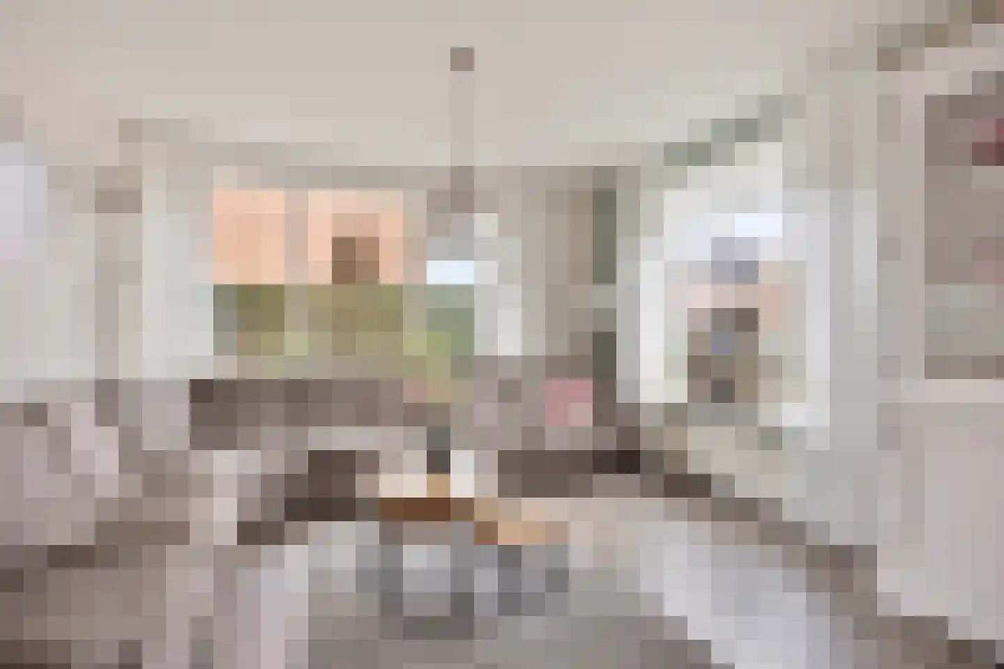 Lijsterbesstraat 18 Opheusden thumbnail 6