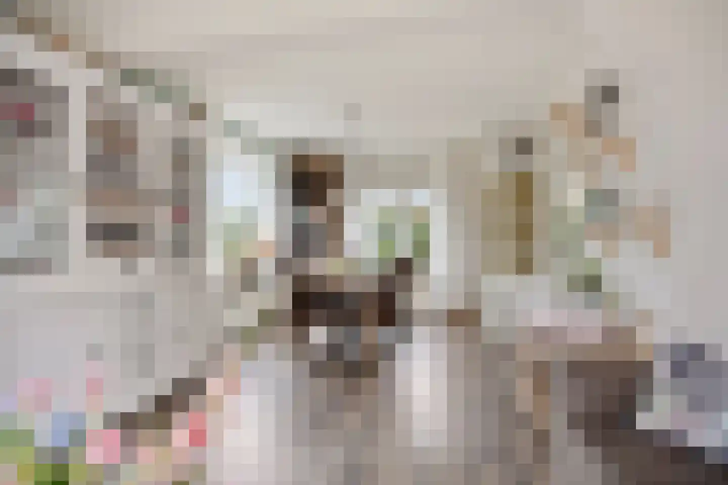 Lijsterbesstraat 18 Opheusden thumbnail 6