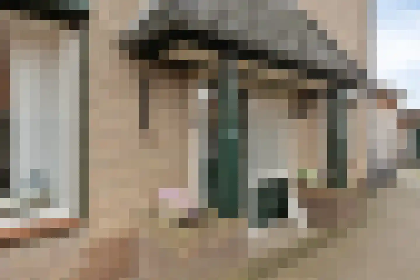 Lijsterbesstraat 18 Opheusden thumbnail 60