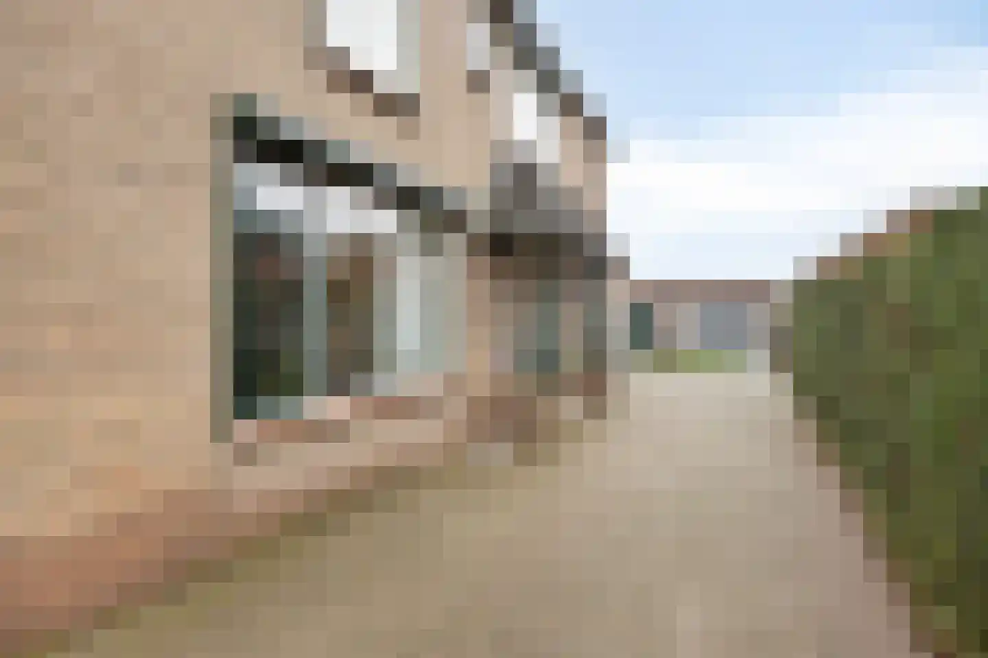Lijsterbesstraat 18 Opheusden thumbnail 61