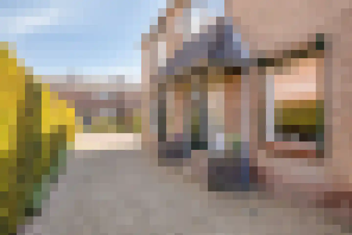 Lijsterbesstraat 18 Opheusden thumbnail 63