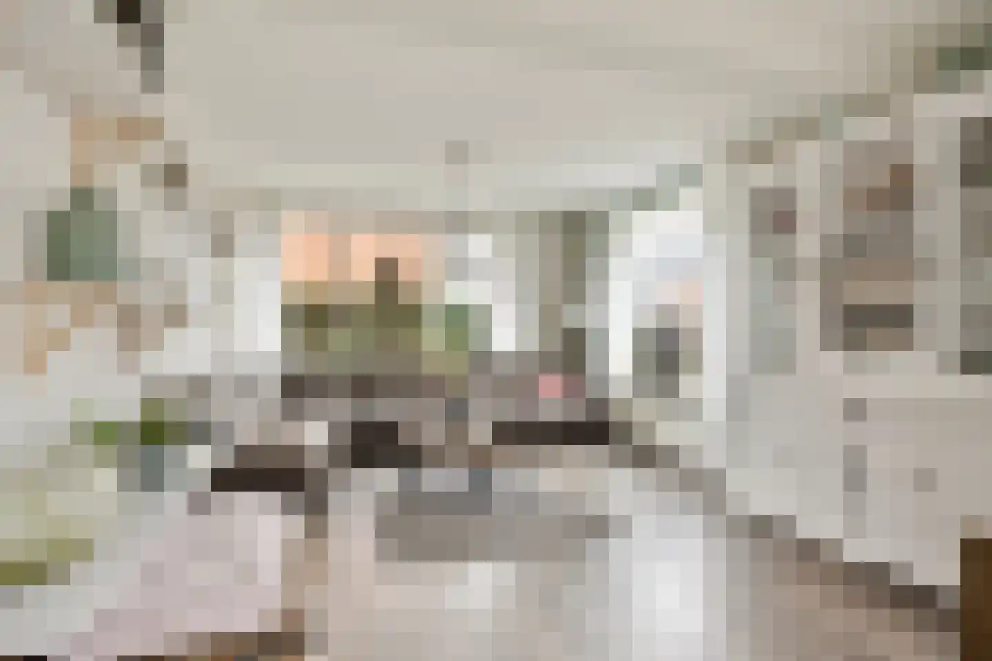 Lijsterbesstraat 18 Opheusden thumbnail 8