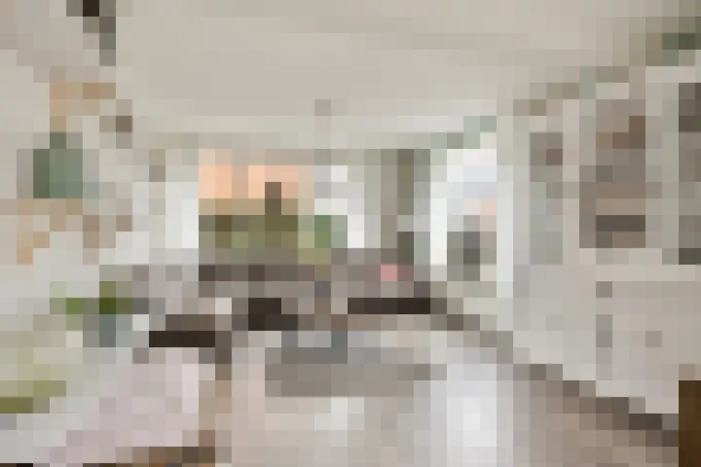 Lijsterbesstraat 18 Opheusden thumbnail 9