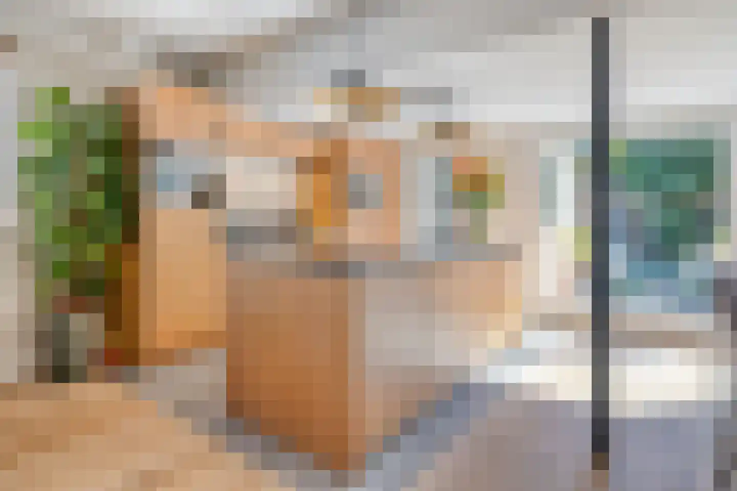 Lijsterbesstraat 18 Schagen thumbnail 10