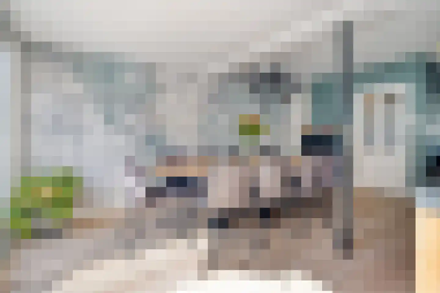Lijsterbesstraat 18 Schagen thumbnail 13