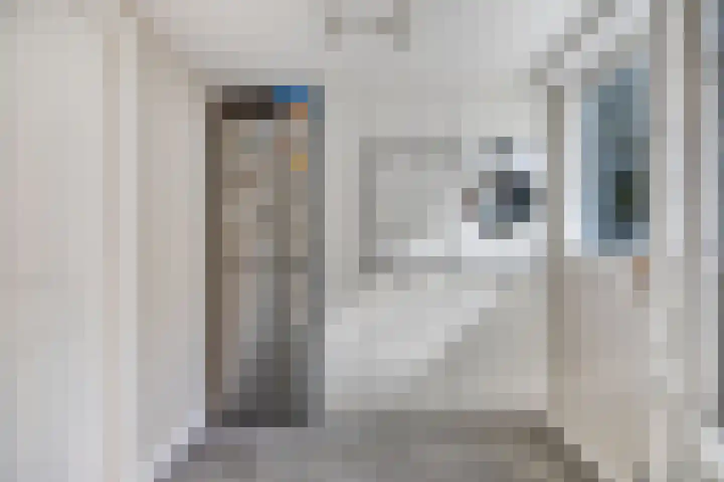 Lijsterbesstraat 18 Schagen thumbnail 14